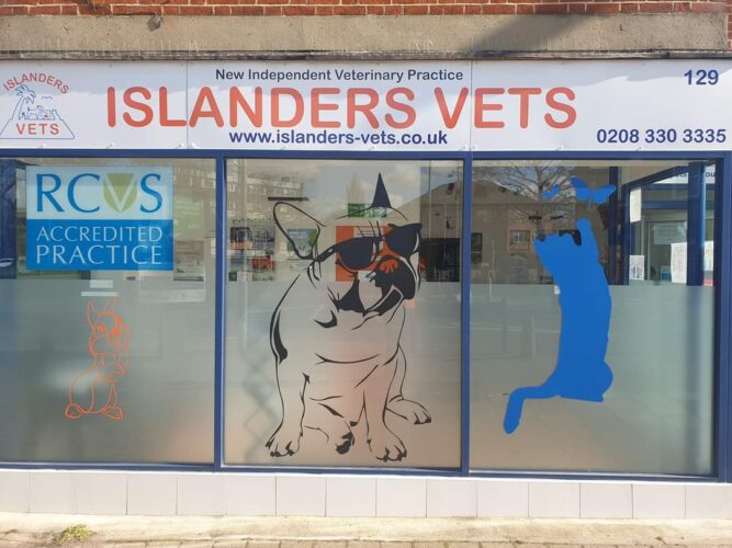 Permanent VET